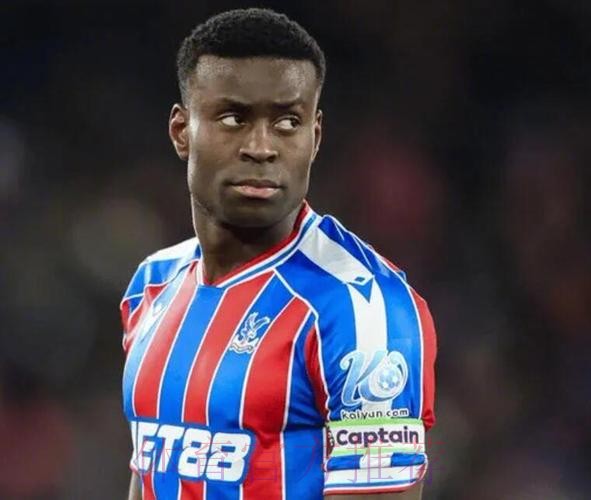 太阳报独家:卖格伊后水晶宫追逐费内巴切后卫奥斯特沃尔德 太阳报独家:卖格伊后水晶宫追逐费内巴切后卫奥斯特沃尔德